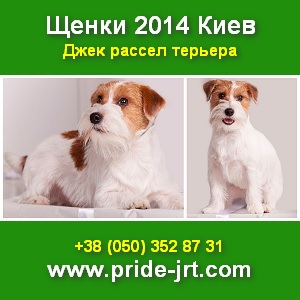 2014       -  1
