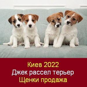  2022      -  1