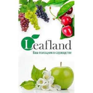 - Leafland -        -  1