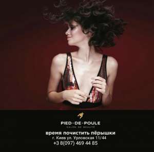  PIED DE POULE , .  .   !   -  1
