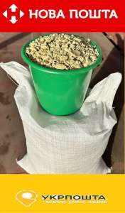  ʲ!   / //.   30  -  1