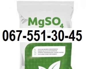 ### ������ ������� ������. ������ ����. - ����������� 1