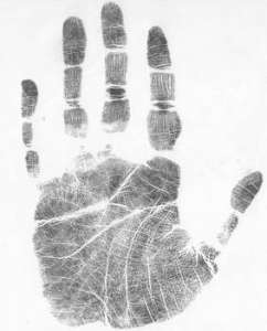 # ������ ��������� � ��� ����� ���� �������������� - ����������� 1