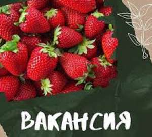 🅾 ��������� ������������ �������� �������� ������ - ����������� 1