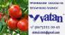   : ⏩   VATAN PLASTIK (),    .