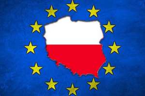 ☑   .    2019. -  1