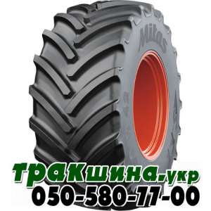 ✅      . - ✅ -  1