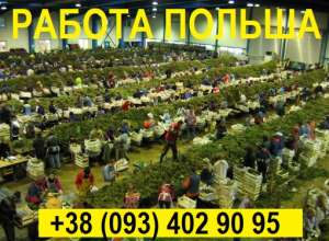 ✅ ������ � ������ || ���������� C������� �������� || ����� �� 15.09.2020 - ����������� 1