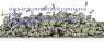   : apply for an urgent loan today at low interest rate of 2%