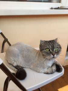 C�p���� ���o���x - ����������� 1