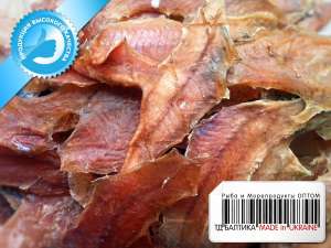 C���� � ���� �� ������ �����-������������ ����� - ����������� 1