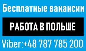 C����� | ������ � ������ | ���������� �������� ��������. ���������. �������. ������ - ����������� 1