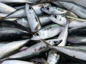 C�����, ������, �������, ������, ����� �������������� ����� - ����������� 1