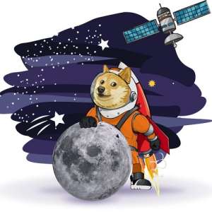 Doge-1 Launch:    Space-X  . -  1