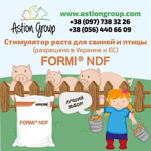 Formi NDF  2016     -  1