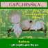   : Gapchinska 2016     