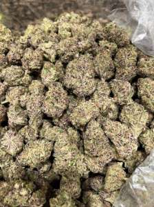 Ky���� MET,�����,A���a ���,Me�,��c�e�� �a��a�a �OT @CVBRC_BOT O�epa�op @Brcovstor �po�a� �e� META�OHA - ����������� 1