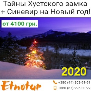 New     2020  -  1