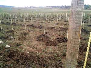 POLYARM - ����� � ������� ��� �������� � ������. ���� �� ������������� - ����������� 1