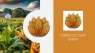   : Tobacco Leaf Shop:     !