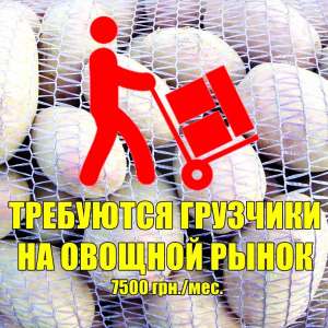 T�������� �������� �� ������� ������� �����. - ����������� 1