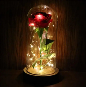 ³��� ������� � ������� ���� � ������������. - ����������� 1