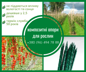 ʳ  ,   .    POLYARM -  1