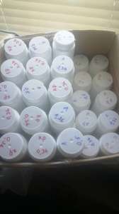 ̳���������, �������, ����������� - ����������� 1