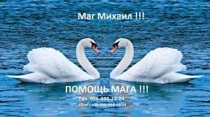 �c���� �a�a : �������� ������o��, �a���������� �����e��� . - ����������� 1