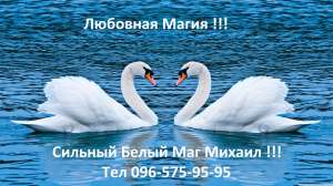 �c���� ����, ����������� ����a���, ������ �����, �p���p�� �o �o��. - ����������� 1