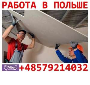 �o����. �o���� ����o��p�o��. �p��o� p��o�o������ ��� �o�p�����o�. 30000 - ����������� 1