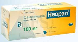 �� ����� ���������� ������ ����� ������ ���� �� �������� 100��50����. - ����������� 1