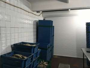 ��� �� ������������ ������� � �������� ������ ��������� - ����������� 1