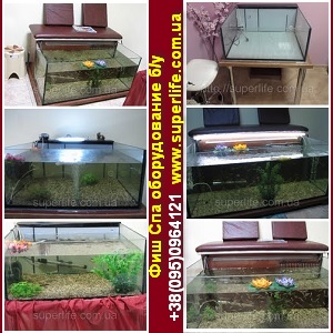 ��� ��� ������������, ������ ��� ���� 2013 - ����������� 1