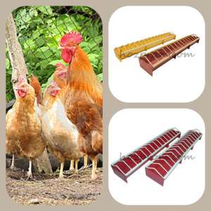 ��� �������� �����: �������� �������� �������� ����� - ����������� 1