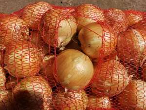 ��� �������� ������ 2020 � - ����������� 1