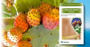 ��� ��������. ������� ��� ������. - ����������� 1