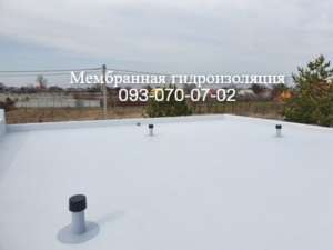 ��� ��������, ������� ���������� ��������� ����� - ����������� 1