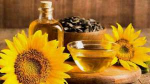 ��� ����������� �볿 ����� ������. - ����������� 1