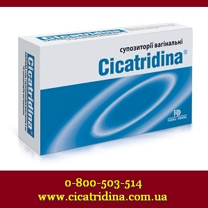 ���� 2015. �����������, ����� � ������������ �������� - ����������� 1