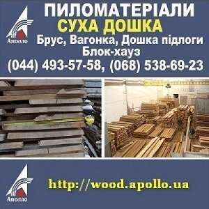 ���� 2019 ��������� ����� ����� �� ������������� - ����������� 1