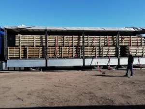 ���� �� ����� �� ��������� - ����������� 1