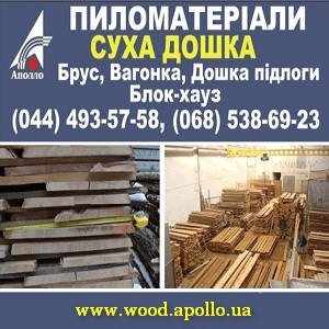 ���� ��� ������. ����� ��������� 2016 ����� - ����������� 1