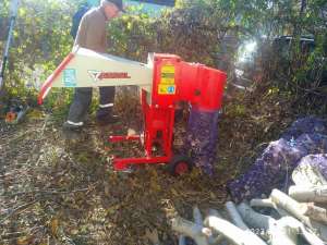 ���� ����� ����-��� ���������. - ����������� 1