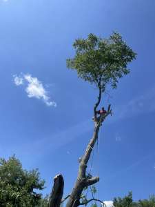 ���� ����� ����-��� ���������.��� �� ������� ������. - ����������� 1