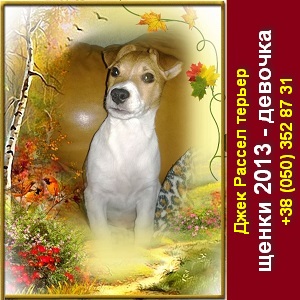 ���� ������ ������ ����� 2013 ������ � ����� - ����������� 1