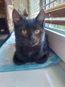 ���� ������ ������� ������� ��� ������ ������� ������� - ����������� 1