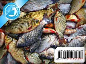 ���� ������ �������������� � ����������� ����� - ����������� 1