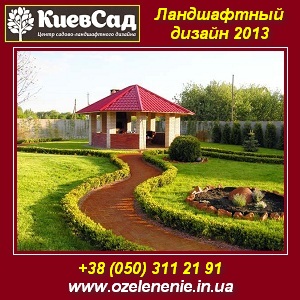 ����, ������� 2013. ����������� ������ ��� ���� - ����������� 1