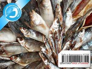 ���� ������� ����� �� ������������� - ����������� 1